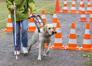 riwc-2016-stock-image-disability-empowernment-and-inclusion-in-social-care_0.jpg