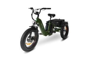 Jorvik tricycle