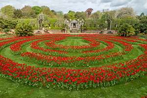 An accessibility guide to Arundel Castle