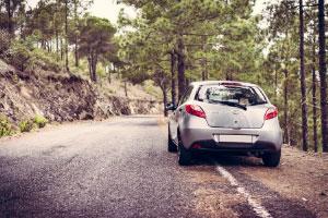 Automatic car on side of tree filled road