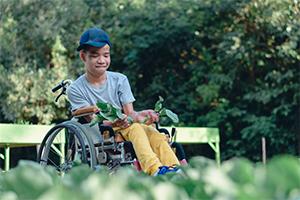 Outdoor Accessible Activities